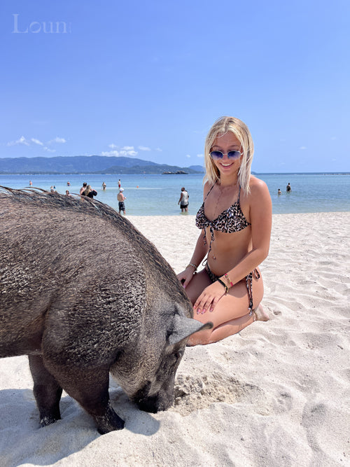 Excursion à Pig Island et Koh Tan : Îles Paradisiaques à Découvrir en Thaïlande